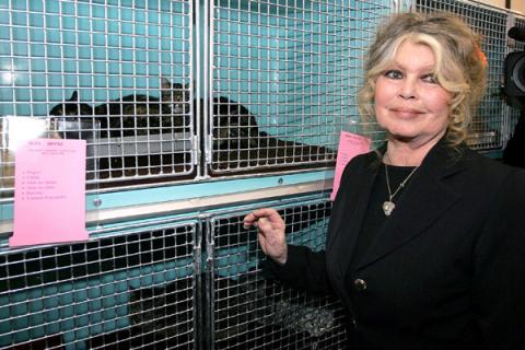 Brigitte Bardot pide a Carla Bruni que interceda sobre Sarkozy para que rechace las corridas de toros