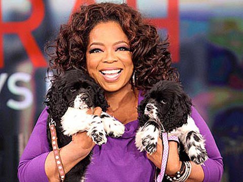 Oprah Winfrey adopta dos perros el día de su cumpleaños