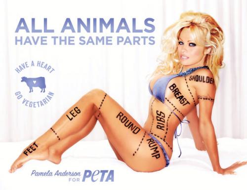 Pamela Anderson y PETA, censuradas en Canadá