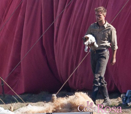 Robert Pattinson quiere adoptar un perro