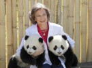 Doña Sofía y la imagen más tierna con los osos panda