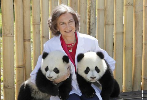 Doña Sofía y la imagen más tierna con los osos panda