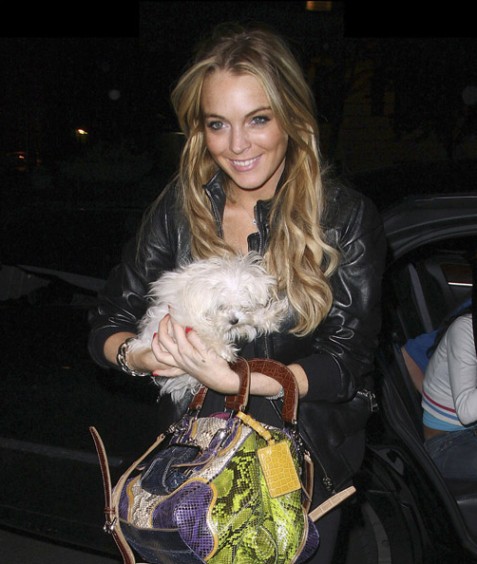 Lindsay Lohan se muda a Nueva York