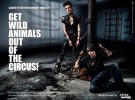 Tokio Hotel apoya a PETA en el boicot a los circos con animales