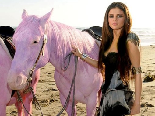 Pink critica a Selena Gómez por su último videoclip