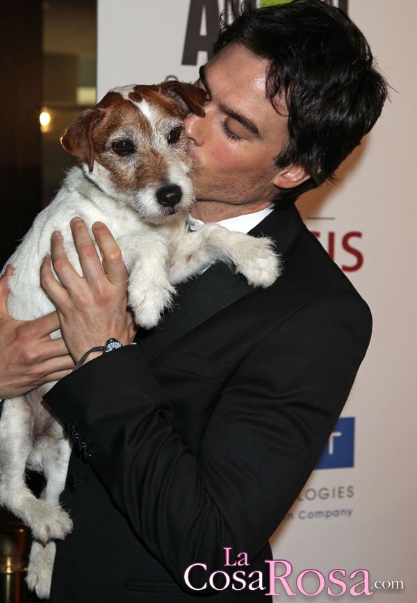 Ian Somerhalder proyecta construir un santuario de animales