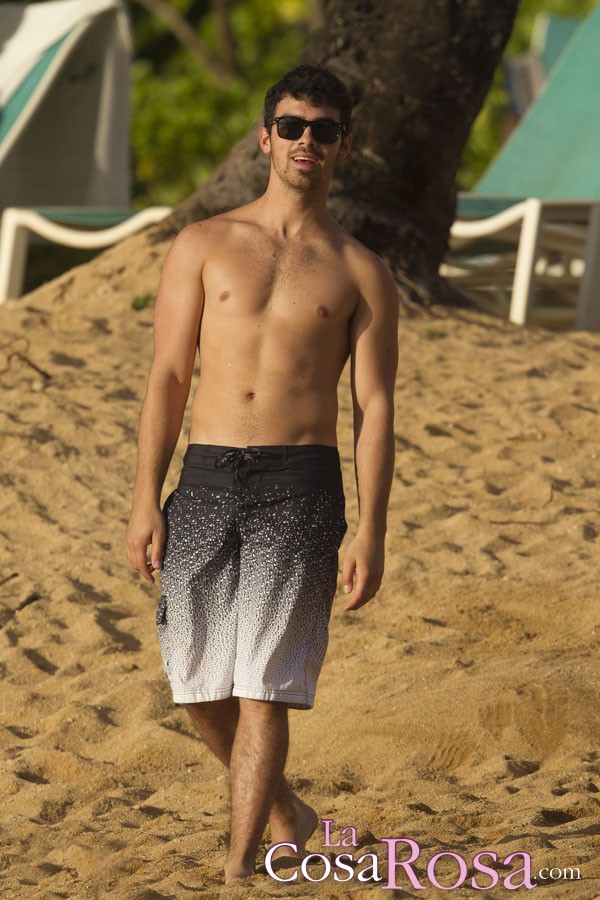 Joe Jonas sale con la modelo Blanda Eggenschwiler