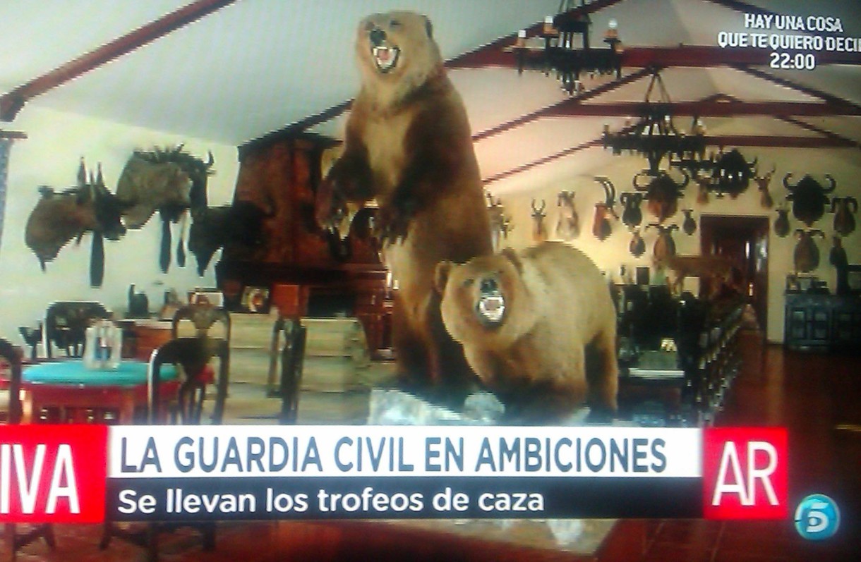 La Guardia Civil incauta a Jesulín de Ubrique dos osos pardos, un jaguar y un cabeza de cebra
