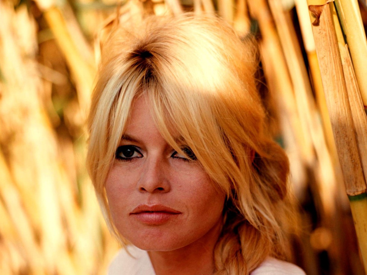 Brigitte Bardot protagonista de un nuevo libro sobre su leyenda