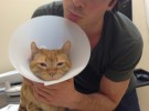 Ian Somerhalder y Nina Dobrev se llevan un susto con su gato Moke
