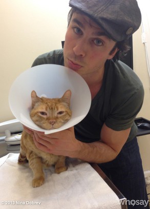 Ian Somerhalder y Nina Dobrev se llevan un susto con su gato Moke