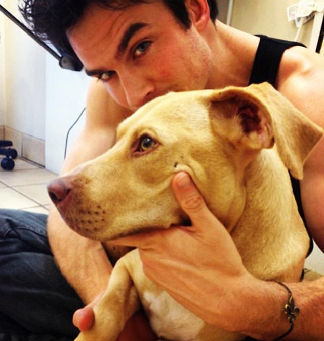 Ian Somerhalder adopta a una perra rescatada junto al set de The Vampire Diaries