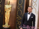 Leonardo DiCaprio, el gran perdedor de los Oscar 2014