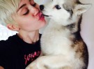 Miley Cyrus, destrozada por la muerte su perro Floyd