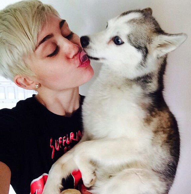 Miley Cyrus, destrozada por la muerte su perro Floyd