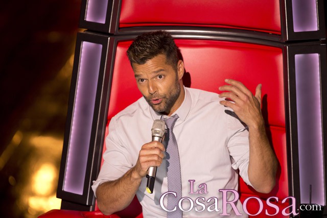 Ricky Martin quiere ser padre de una niña en 2015