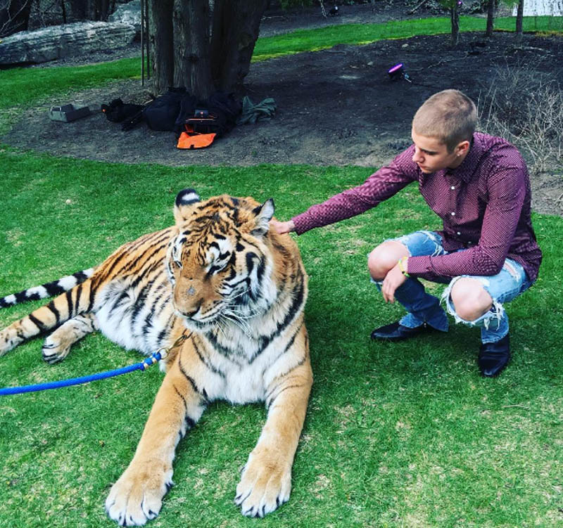 PETA carga de nuevo contra Justin Bieber