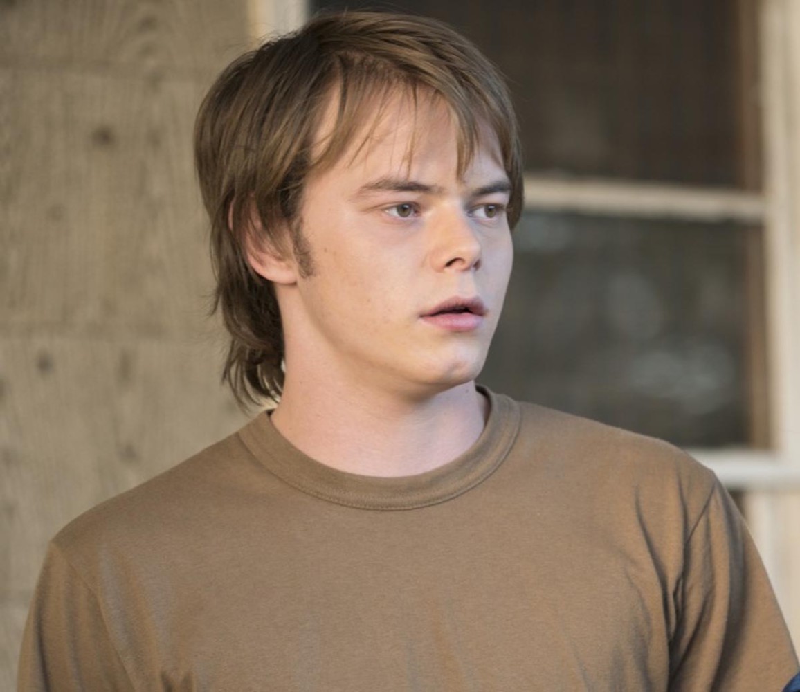 Charlie Heaton (Stranger Things) se disculpa sin mencionar la palabra droga