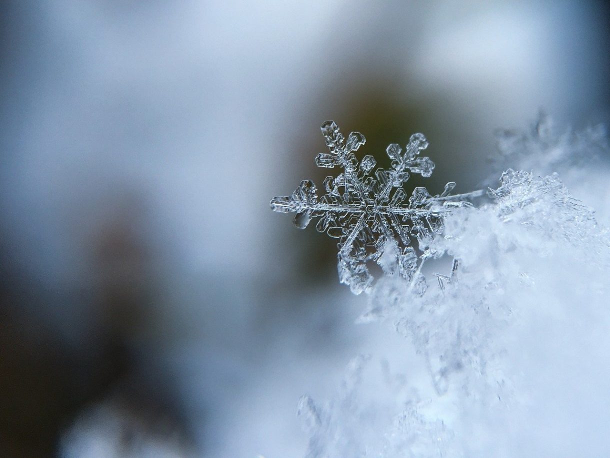 Actividades para divertirse en casa en plena borrasca de nieve