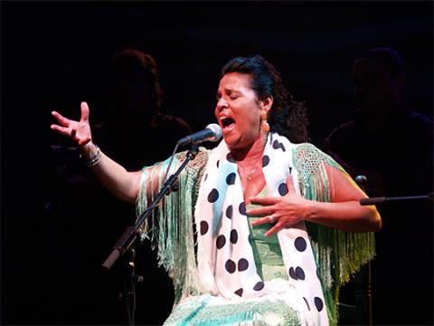 Arte sin artificios en Andalucía Flamenca