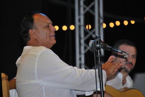 Presentan la programación de Flamenco Viene del Sur