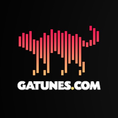 Gatunes, la primera red social española dedicada a la música