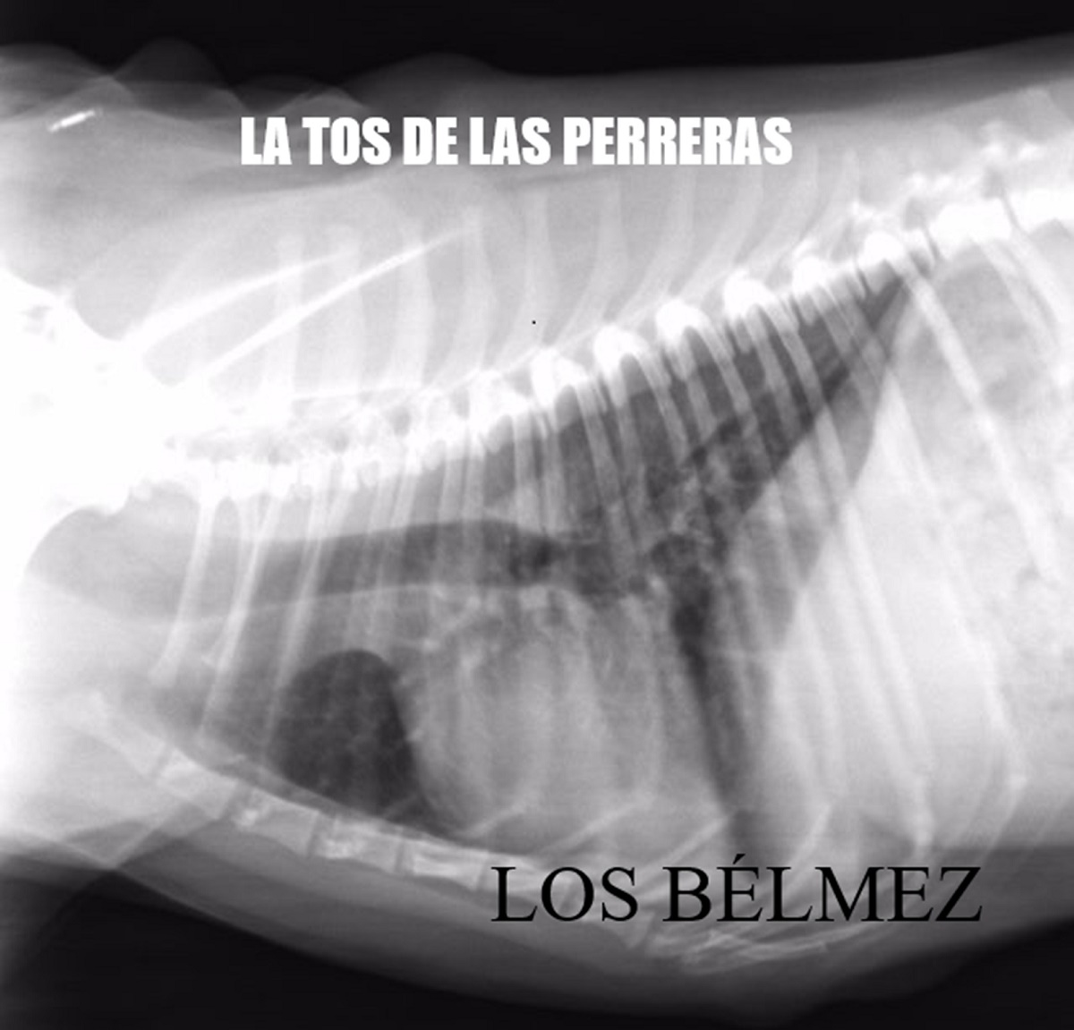 Tos De Las Perreras
