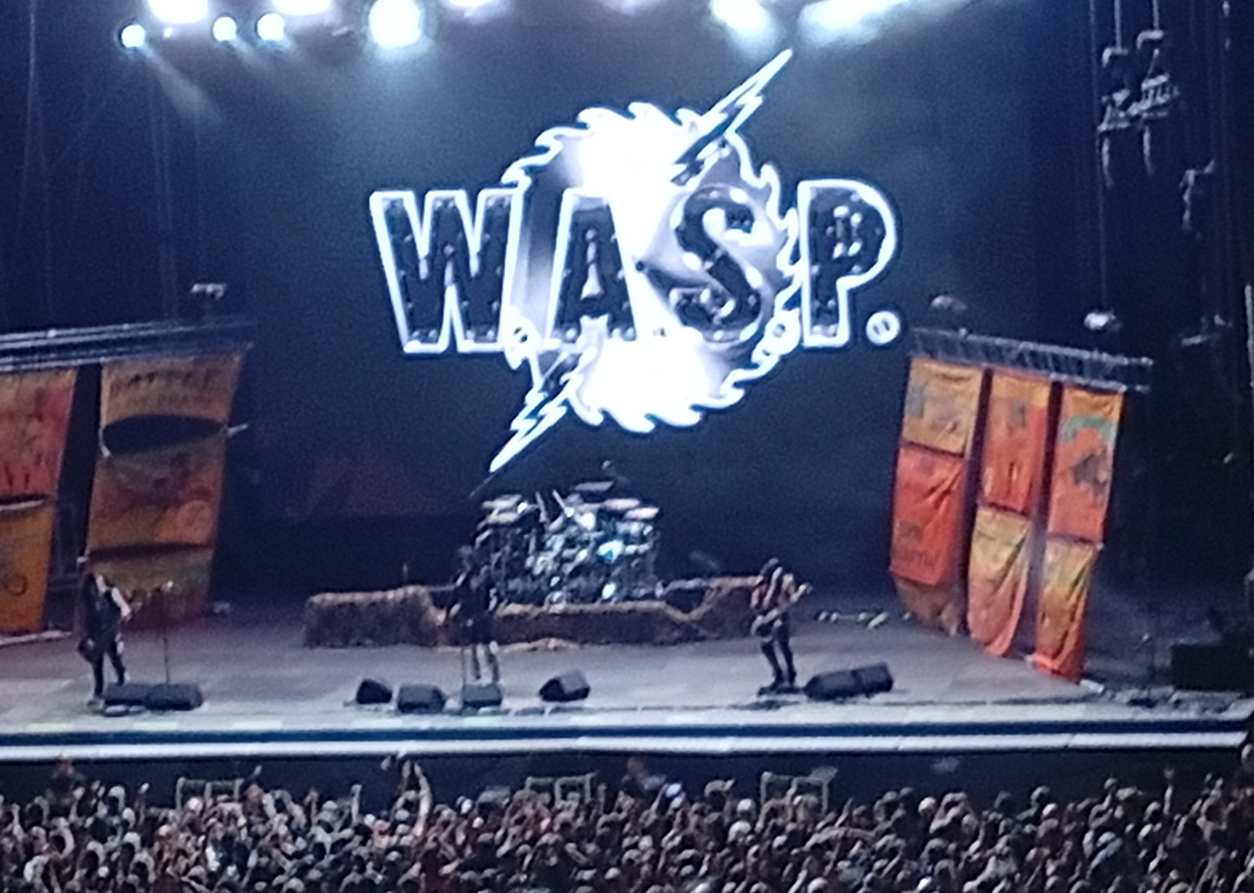 Wasp