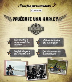 Harley-Davidson te ayuda a verte subido en sus motos