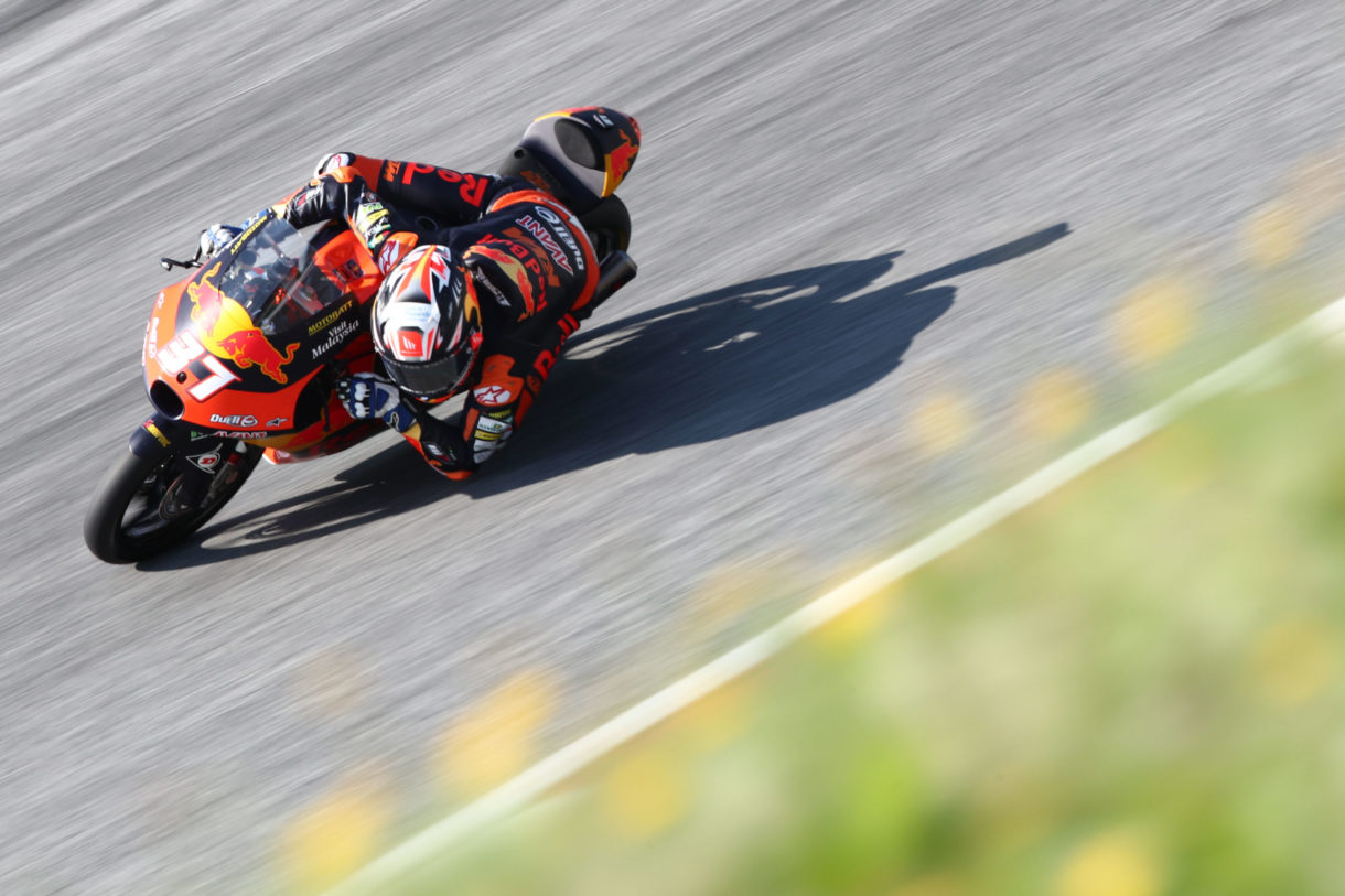 Pedro Acosta gana la carrera de Moto3 del Gran Premio de Estiria, García 2º y Fenati 3º