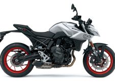 Suzuki 1