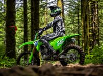 Kx250x Action Accion