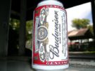 Budweiser, la cerveza más popular de Estados Unidos