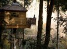 Alojamientos para disfrutar de la naturaleza: Cabañas en los árboles
