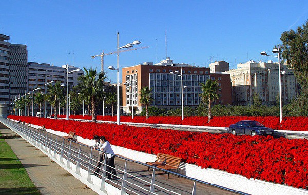 Los puentes de Valencia con firma de Calatrava