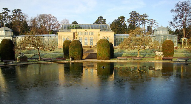 Wilhelma, el parque zoológico y jardín botánico de Stuttgart