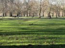Green Park en Londres