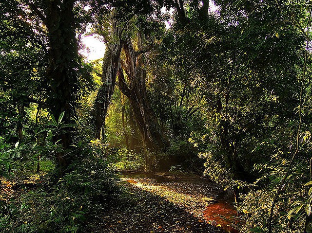 Parque Caña Hueca