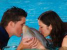 Nadar entre delfines, una experiencia posible en Zoomarine