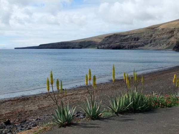 Playa Quemada: un camino hacia la tranquilidad