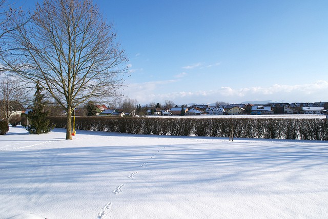 Hagen y la Universidad más grande de Alemania