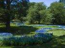 Longwood Gardens, el lugar más verde de Pennsylvania