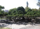 El Jardín del Príncipe Real, en Lisboa