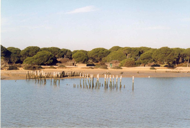 El Parque Nacional de Doñana, un tesoro natural en el Sur de España