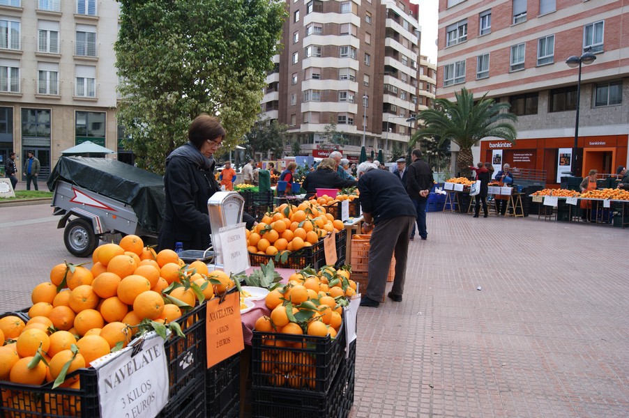 El Mercat de la Taronja de Castellón, el oro naranja de la tierra valenciana