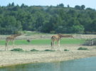Parque zoológico del Mediterráneo: reserva africana de Sigean