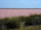 Lagos de color rosa, curioso fenómeno que se da en Australia