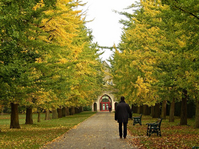 Bute Park en Cardiff