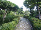 Jardín Botánico de Santo Domingo