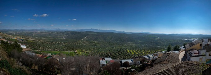 El oleoturismo, la mejor manera para conocer el oro verde de Jaén